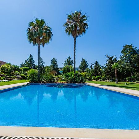 הוילה אלבופיירה Casa Colina מראה חיצוני תמונה